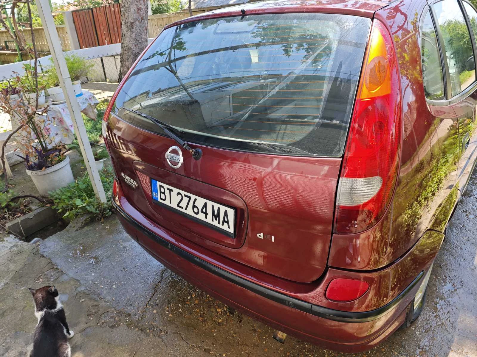 Nissan Almera tino  - изображение 4