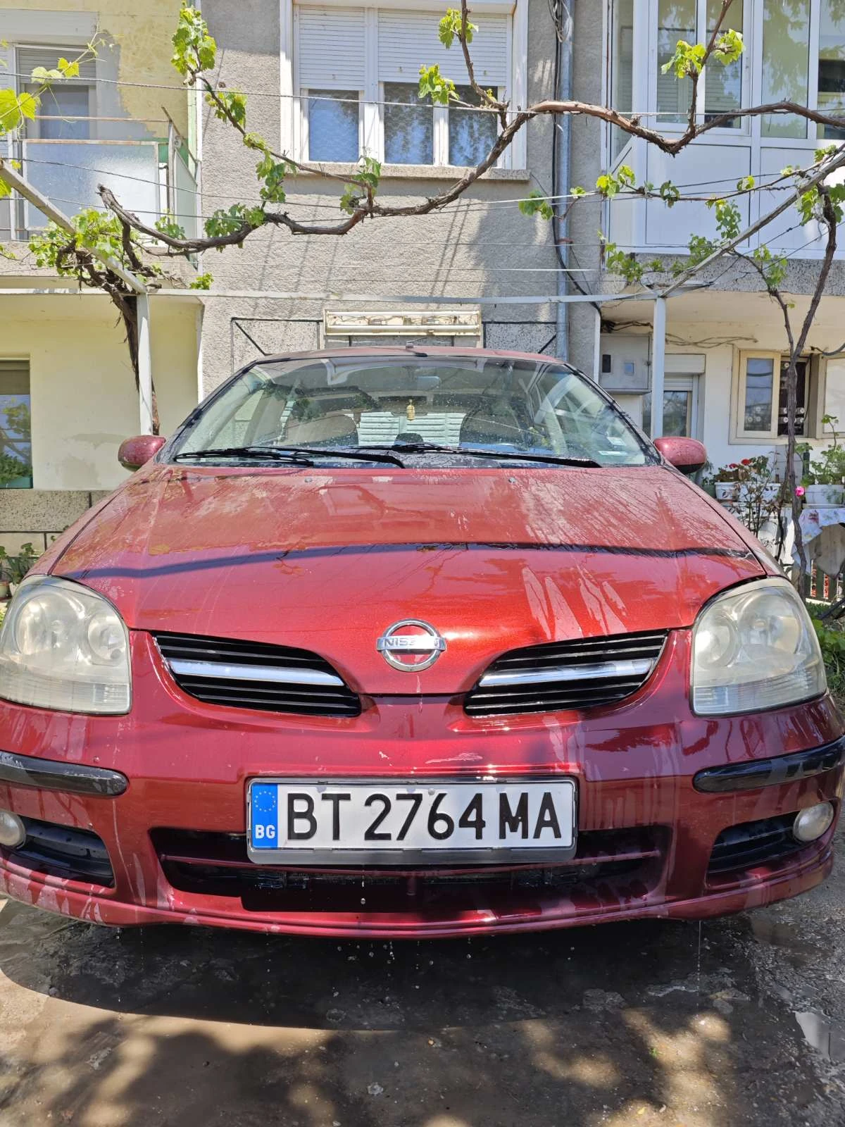 Nissan Almera tino  - изображение 2