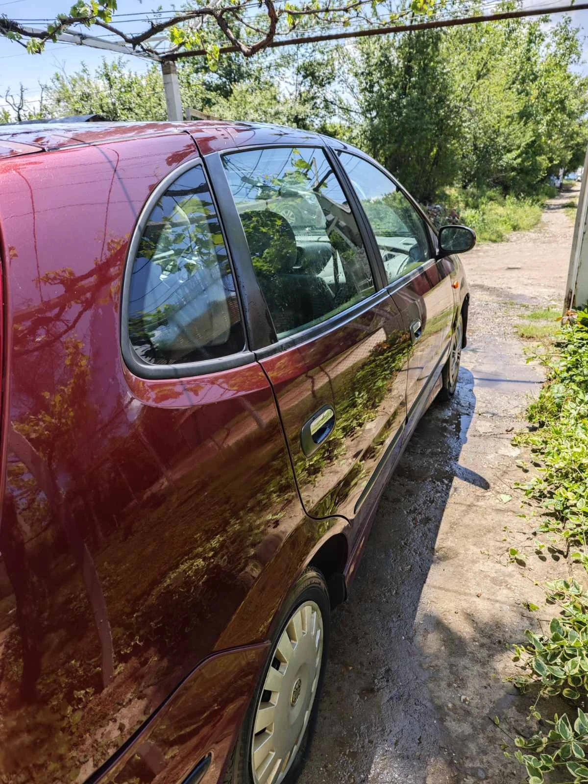 Nissan Almera tino  - изображение 5