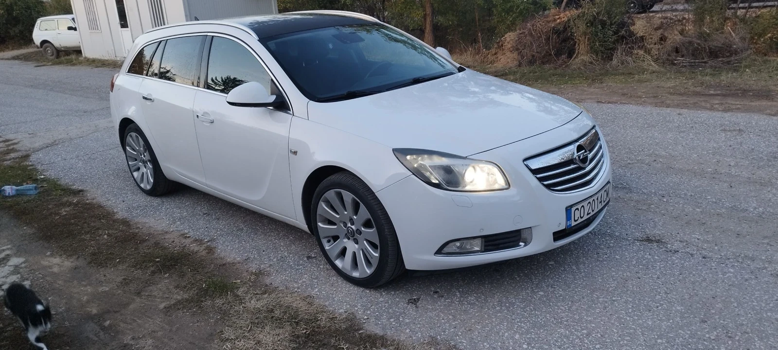 Opel Insignia Sport Touring  - изображение 3