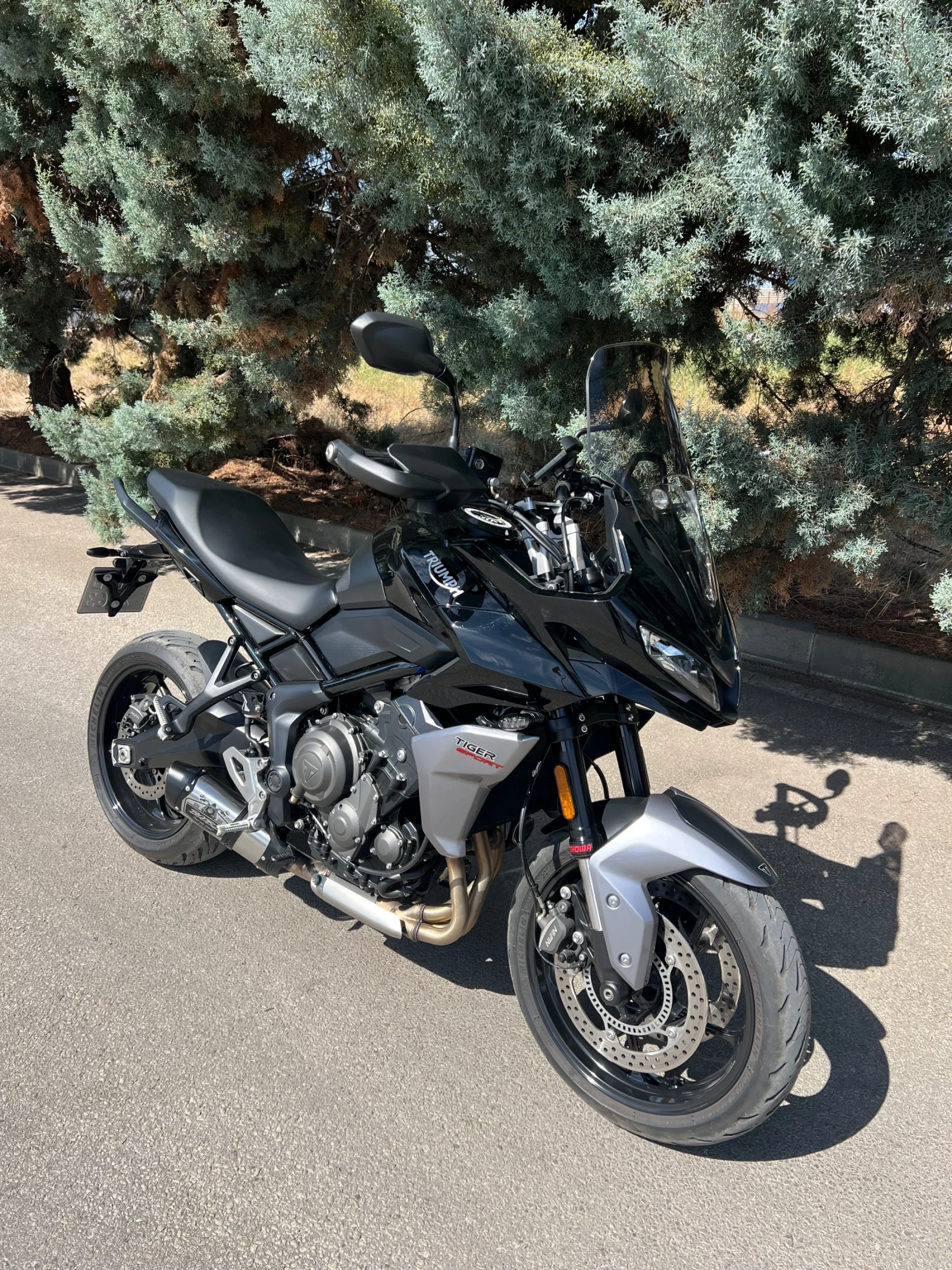 Triumph Tiger