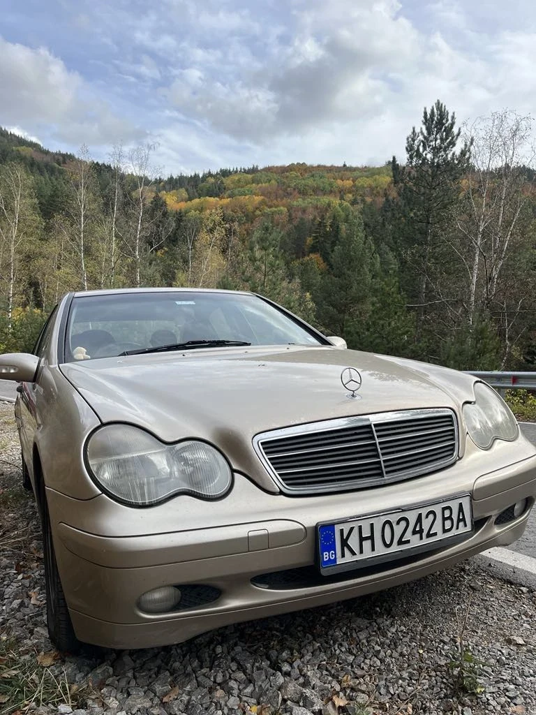 Mercedes-Benz C 220, снимка 1 - Автомобили и джипове - 47854647