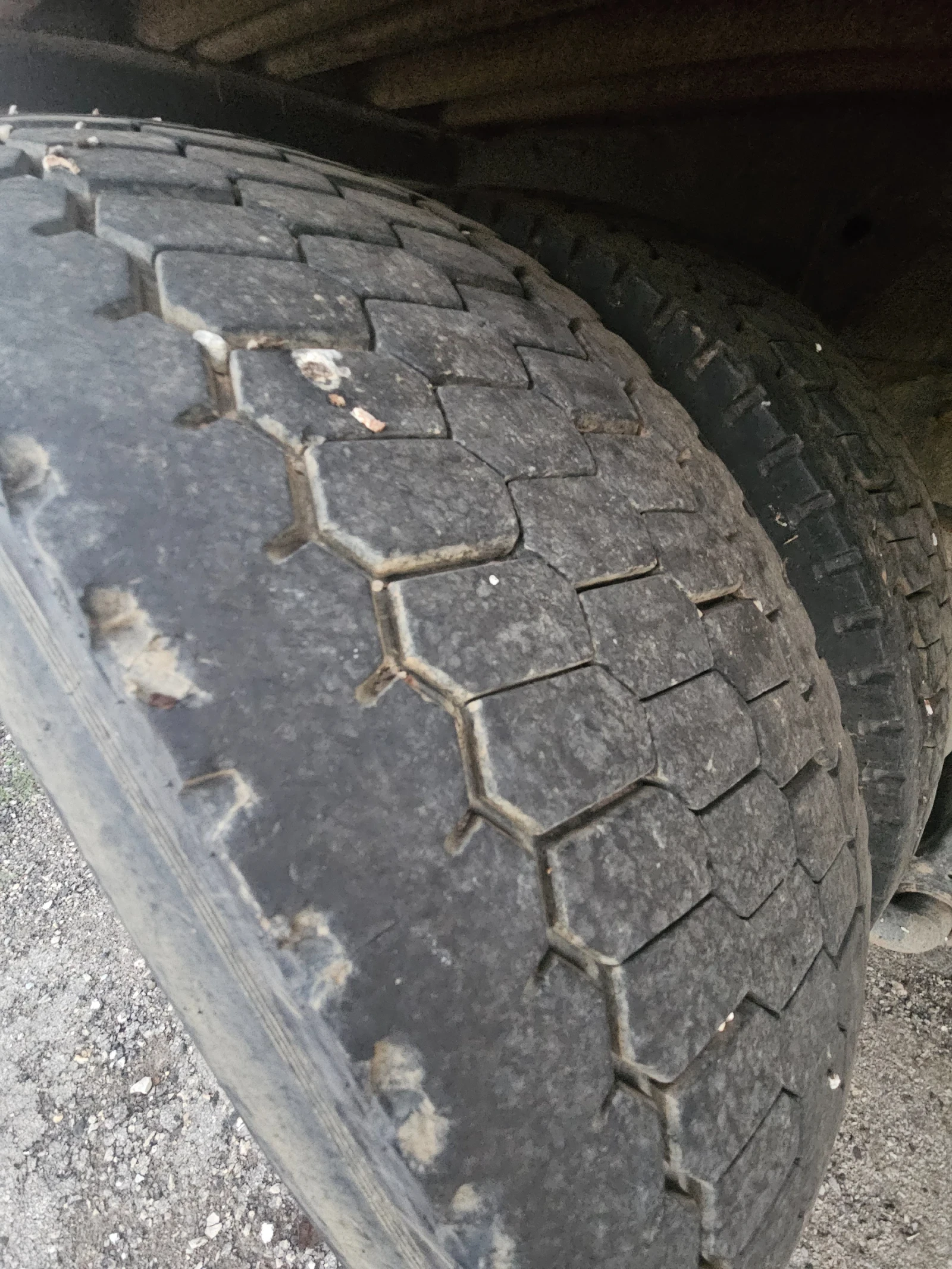 Iveco Magerus  - изображение 2