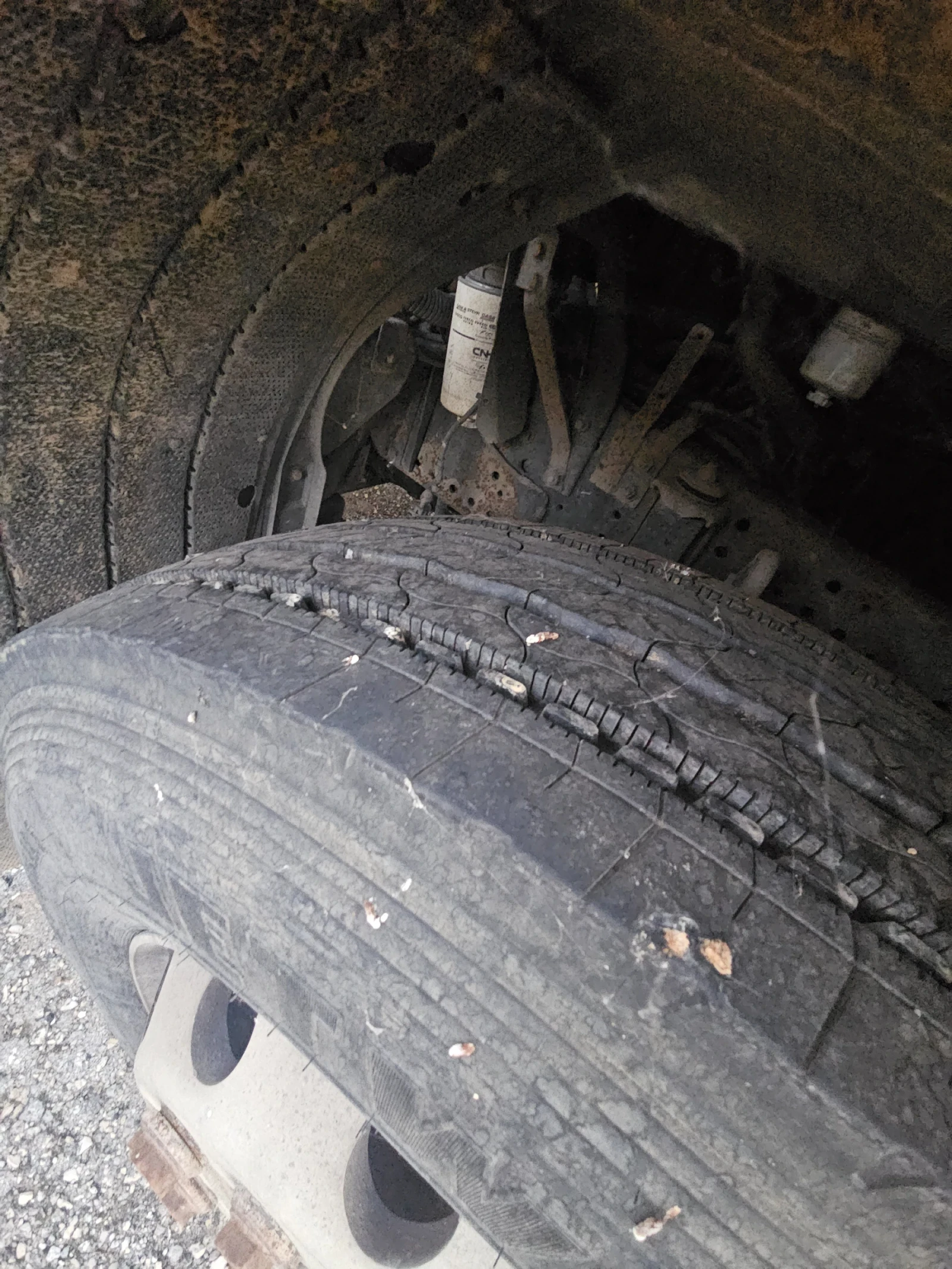 Iveco Magerus  - изображение 3