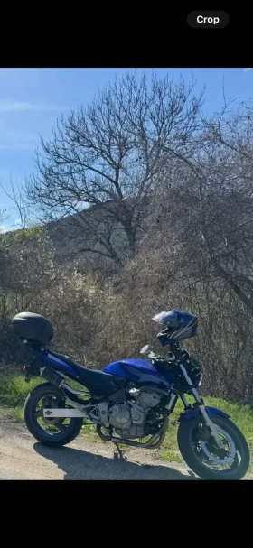 Honda Hornet | Mobile.bg    7