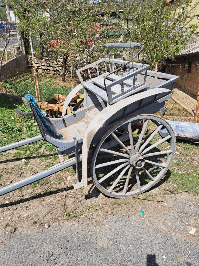 Друг вид Внос 100 Годишен Файтон, снимка 3 - Селскостопанска техника - 52364534