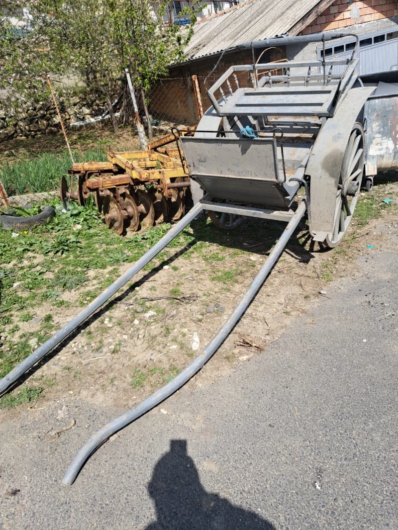 Друг вид Внос 100 Годишен Файтон