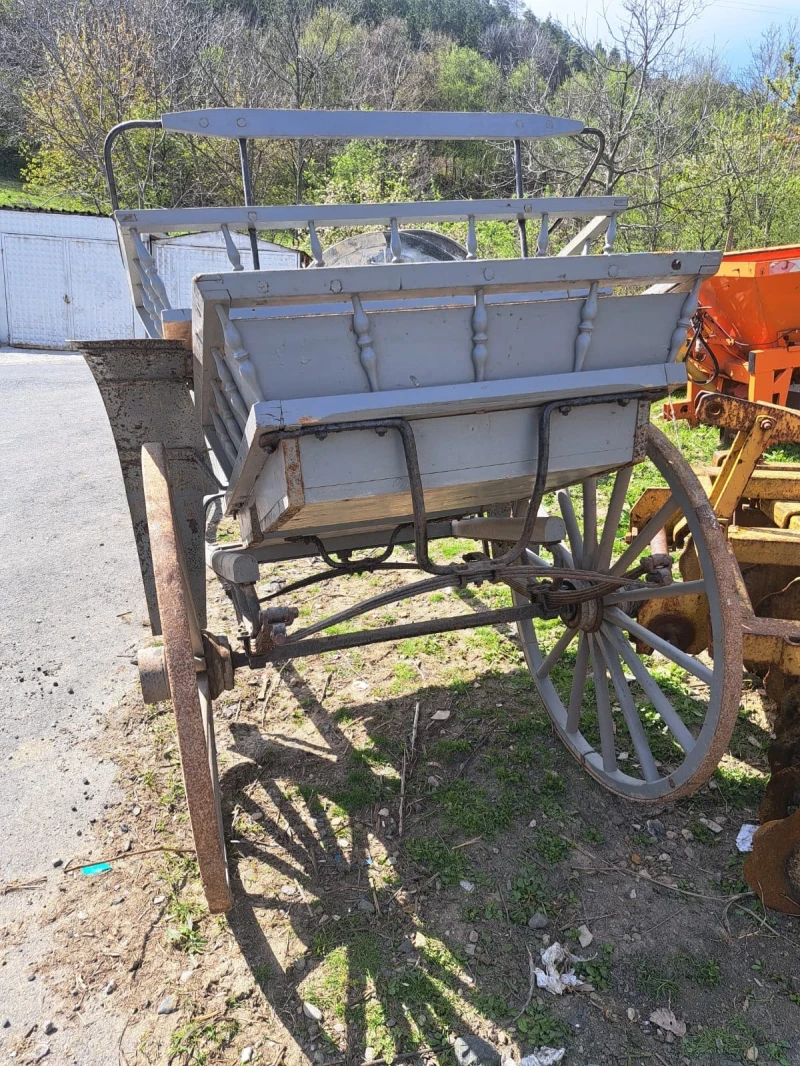 Друг вид Внос 100 Годишен Файтон, снимка 4 - Селскостопанска техника - 52364534