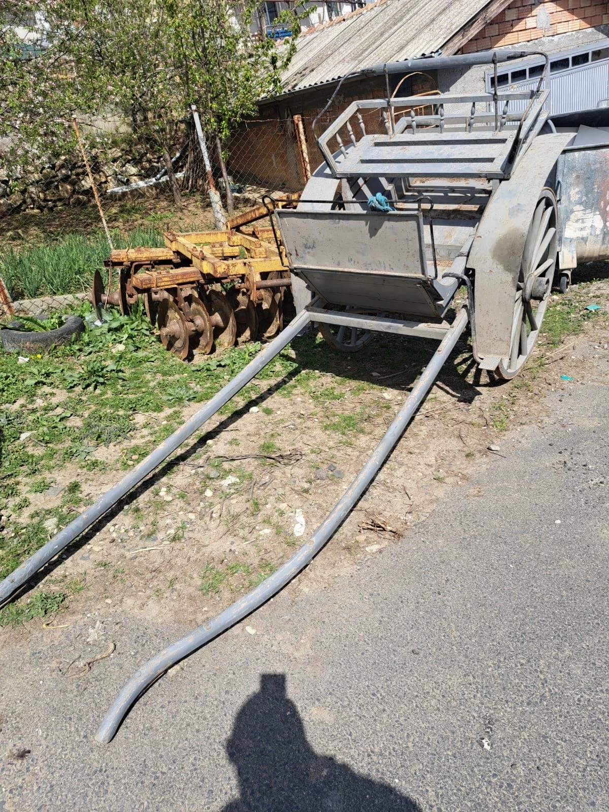 Друг вид Внос 100 Годишен Файтон, снимка 1