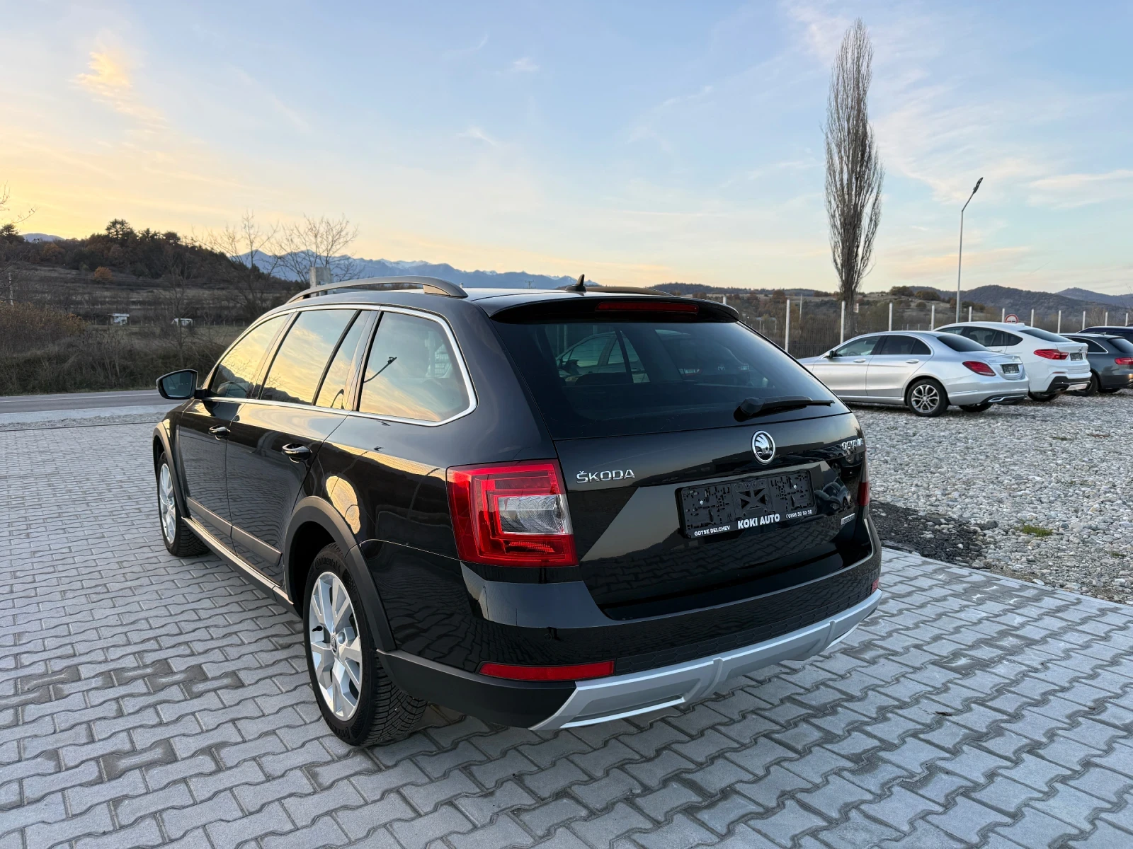 Skoda Octavia 2.0 TDI SCOUT 4x4 NAVI | Mobile.bg   4