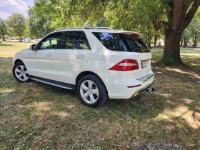     Mercedes-Benz ML 350 AMG DESIGNO 