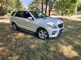     Mercedes-Benz ML 350 AMG DESIGNO 
