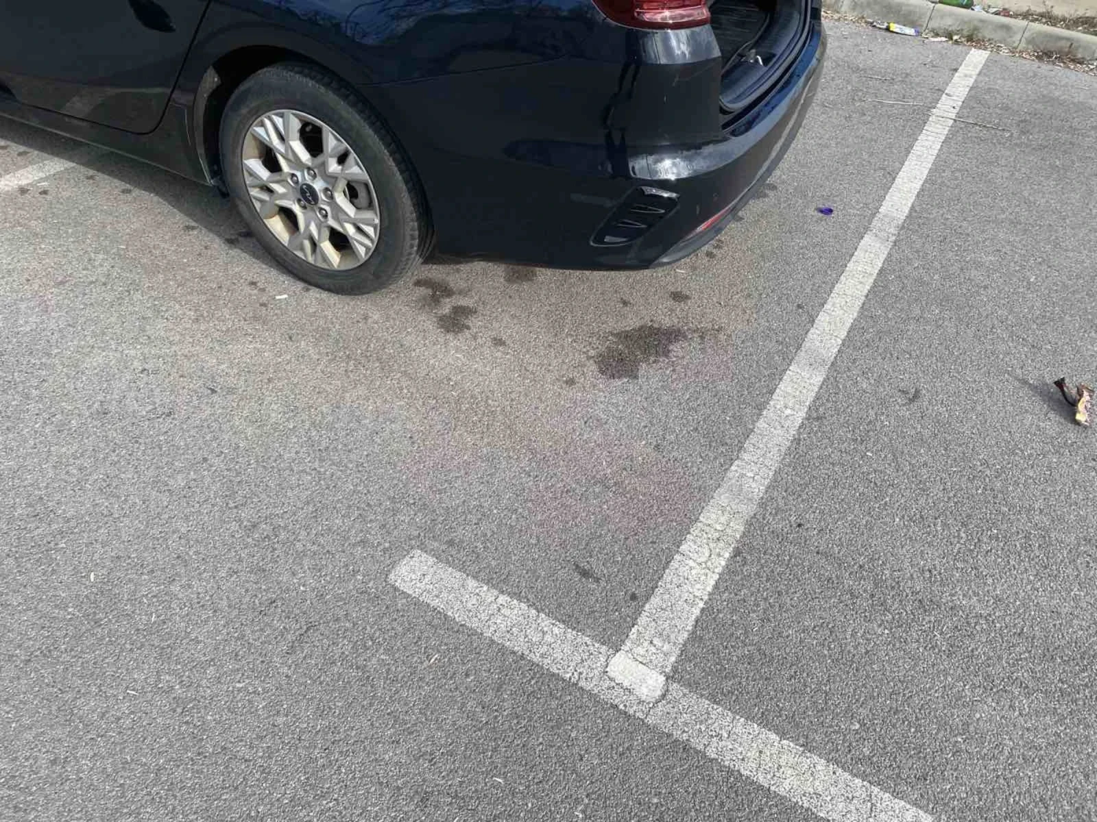 Kia Ceed 1.6 CRDI mild hybrid | Mobile.bg   12