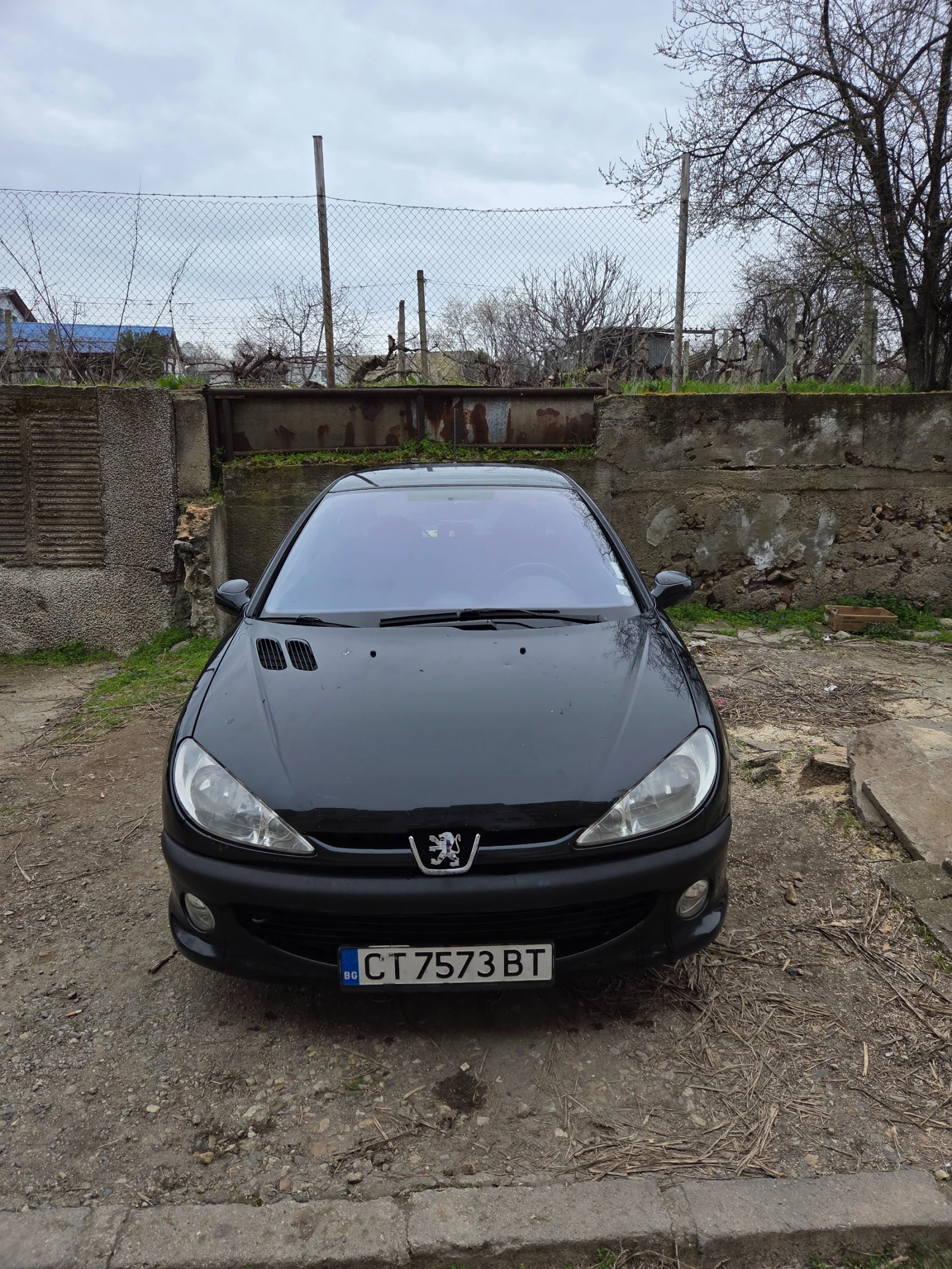 Peugeot 206, снимка 2 - Автомобили и джипове - 53906687