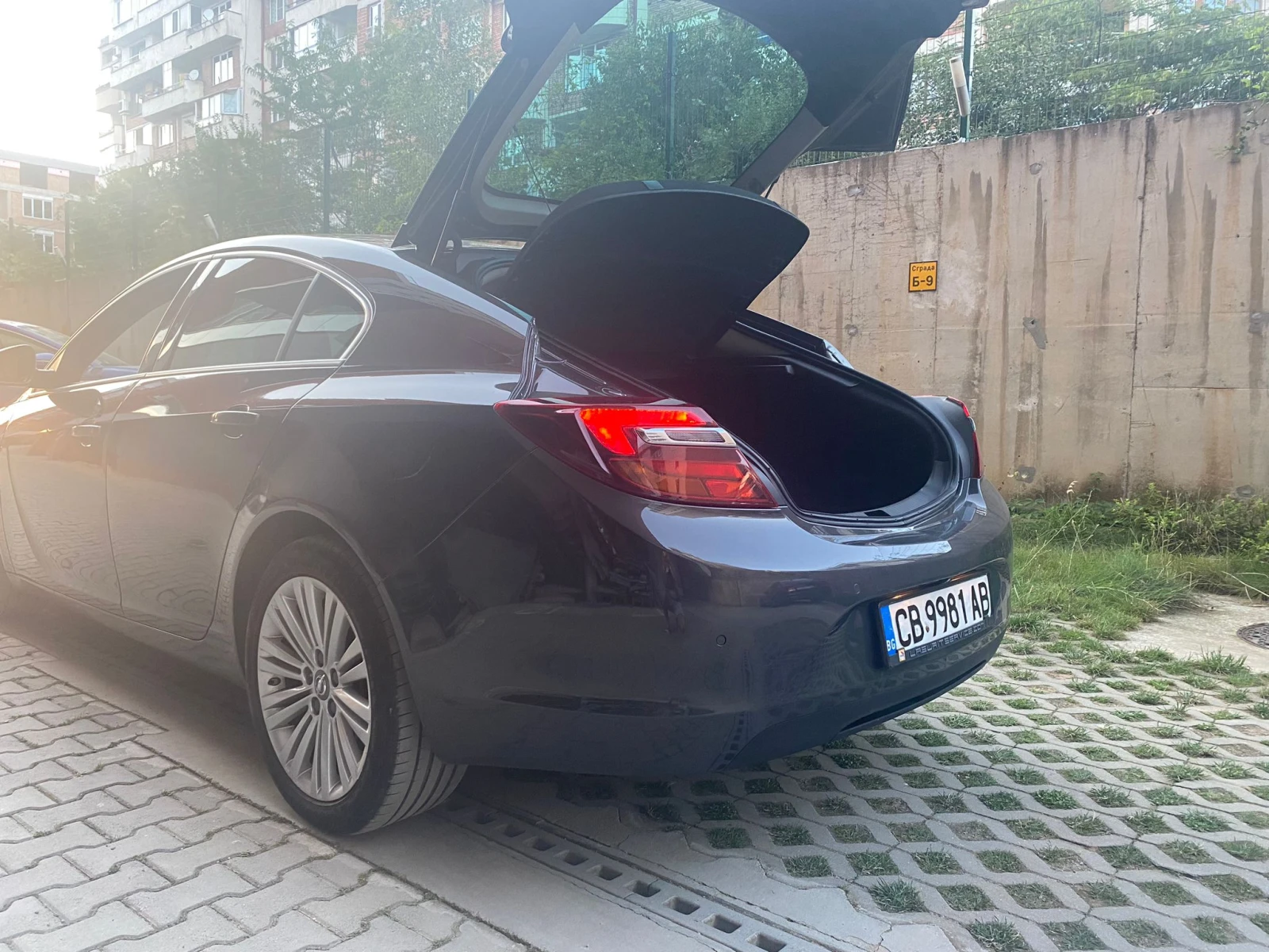 Opel Insignia, снимка 9 - Автомобили и джипове - 55982659