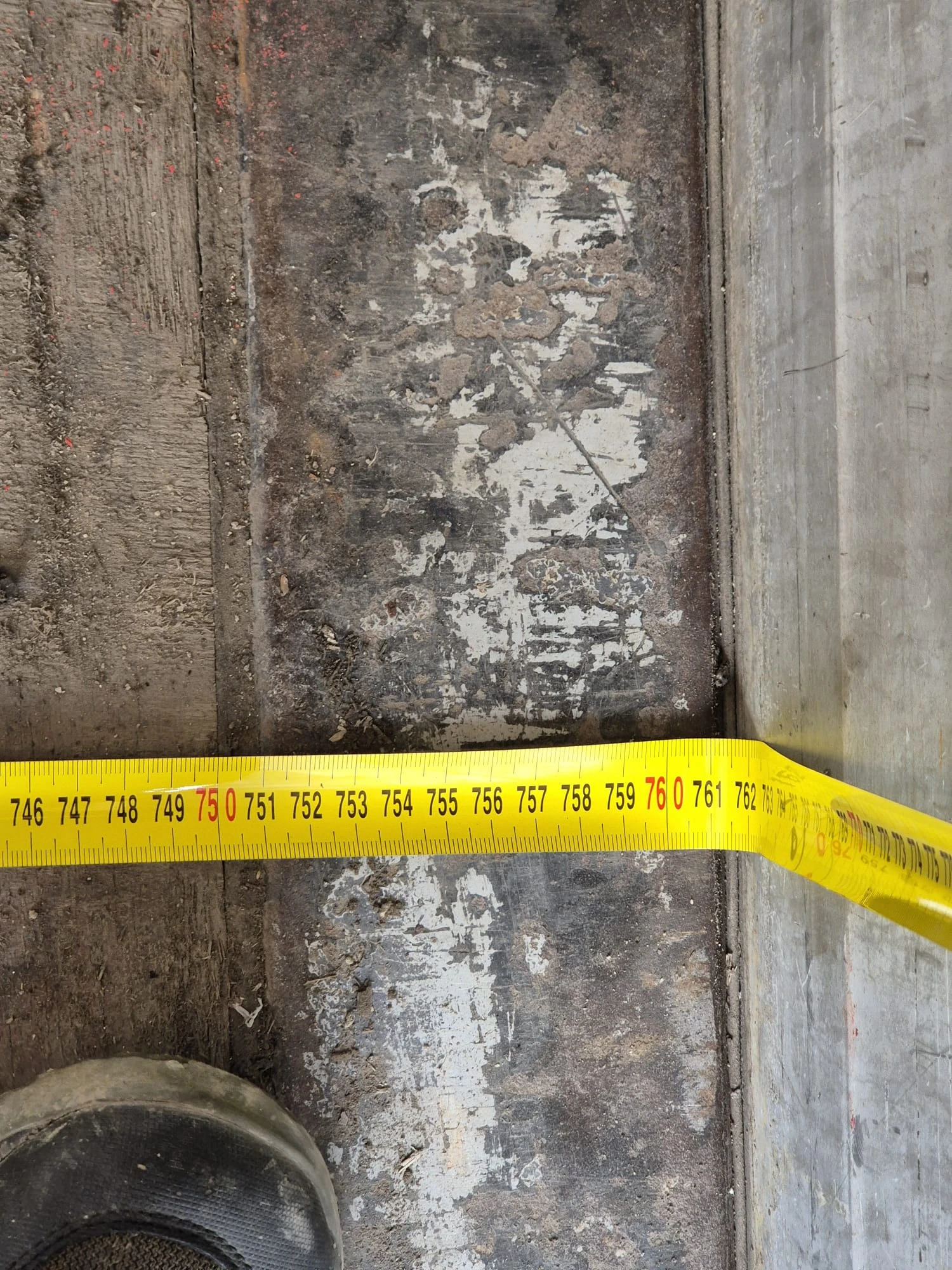     FH13 440 | Mobile.bg   9