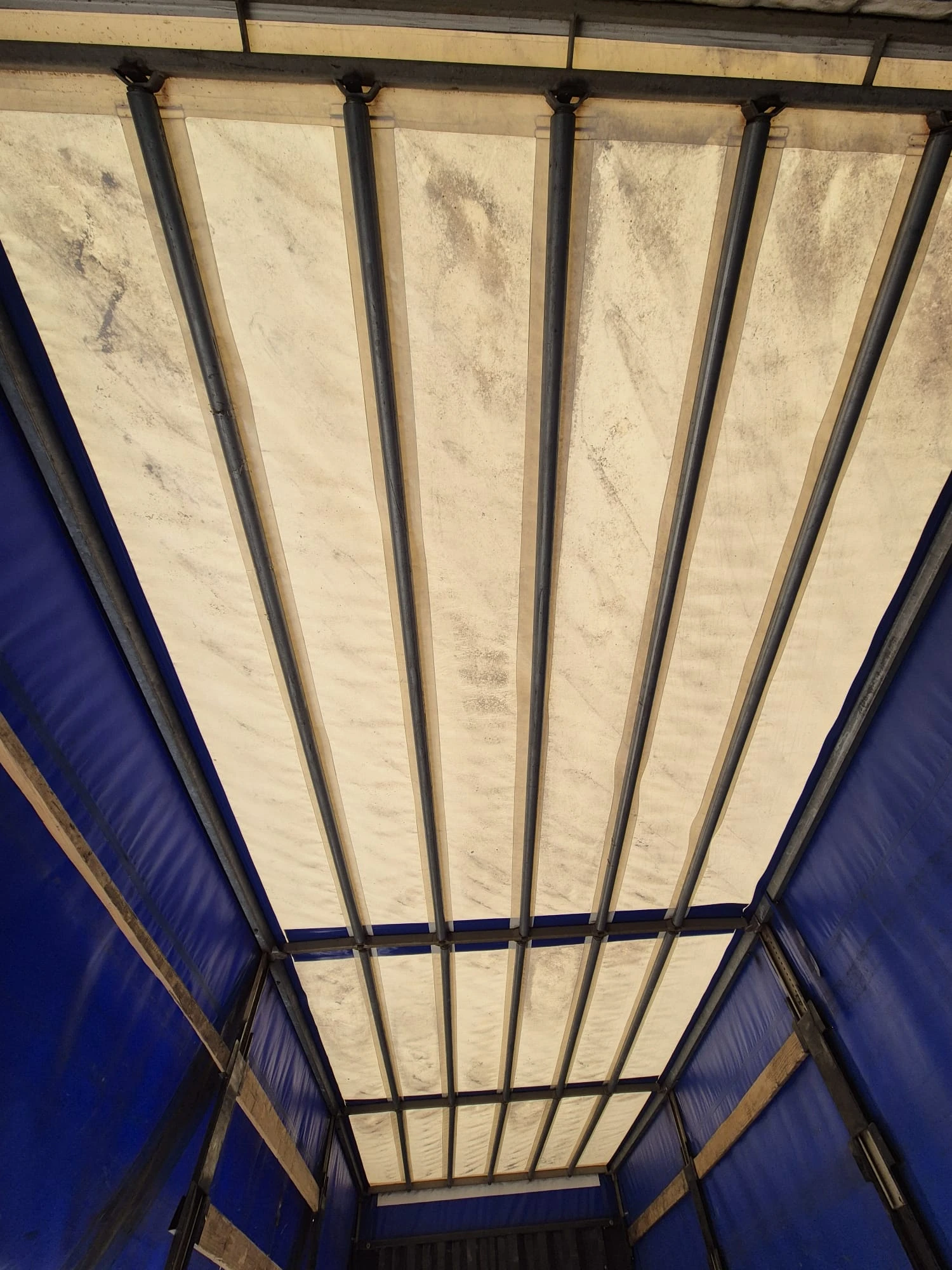     FH13 440 | Mobile.bg   5