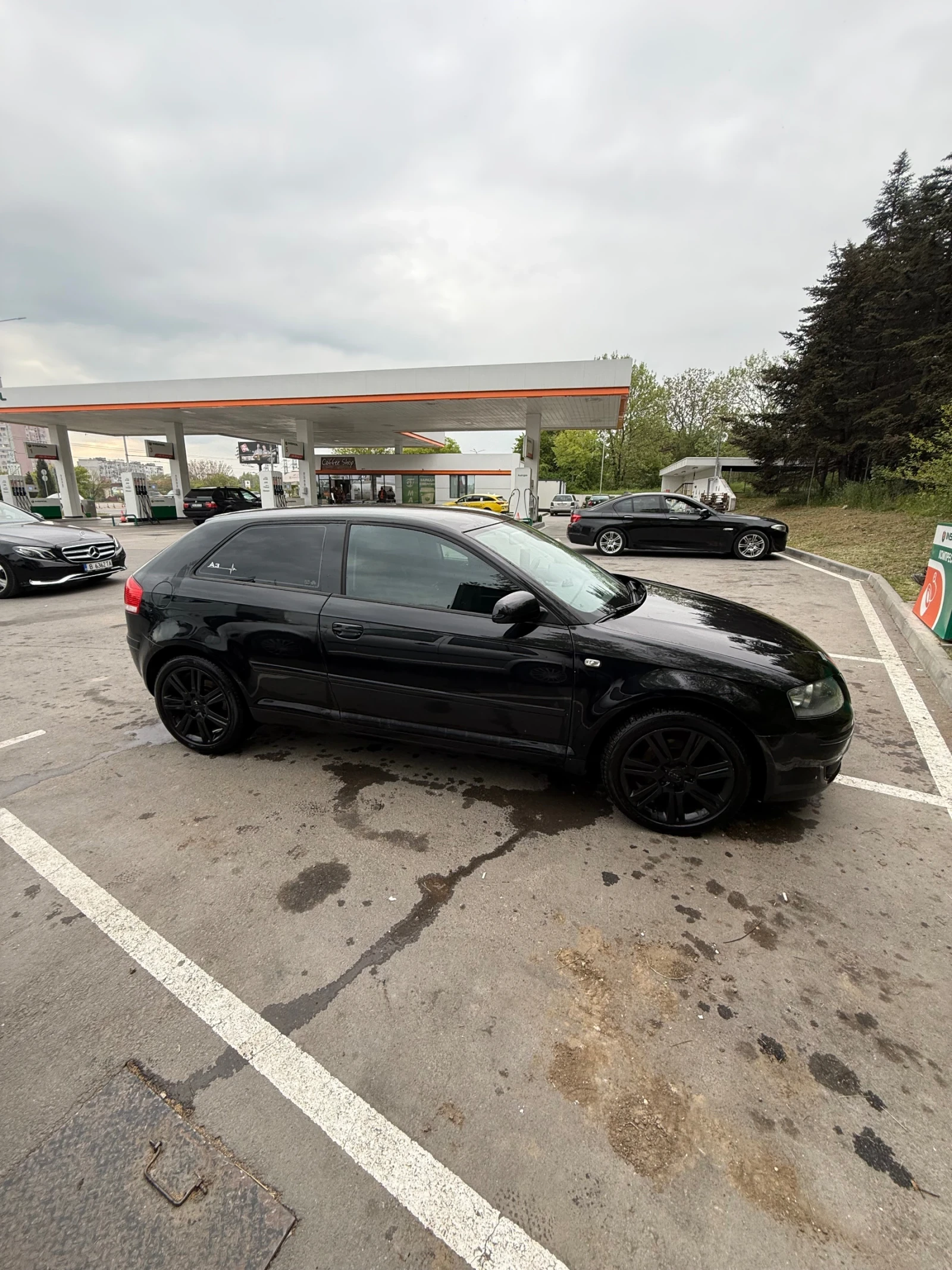 Audi A3 1.9 TDI, снимка 4 - Автомобили и джипове - 54490457