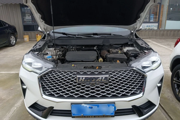 Haval H6 1.5T autogeorge.com, снимка 6 - Автомобили и джипове - 53355642