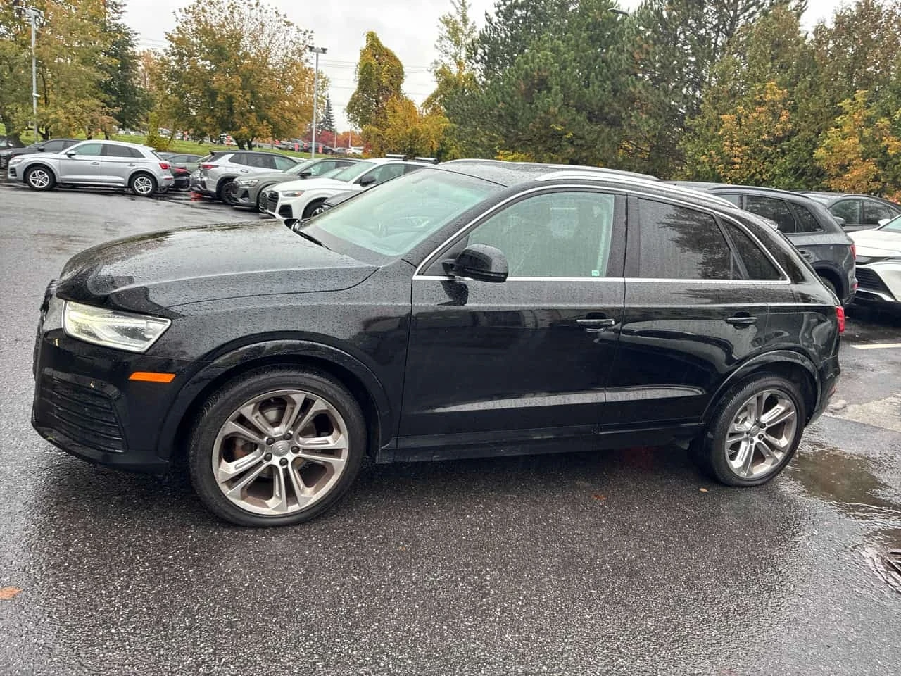 Audi Q3 * Progressiv * CARFAX * ����� �� ����������� | Mobile.bg � ����������� 2