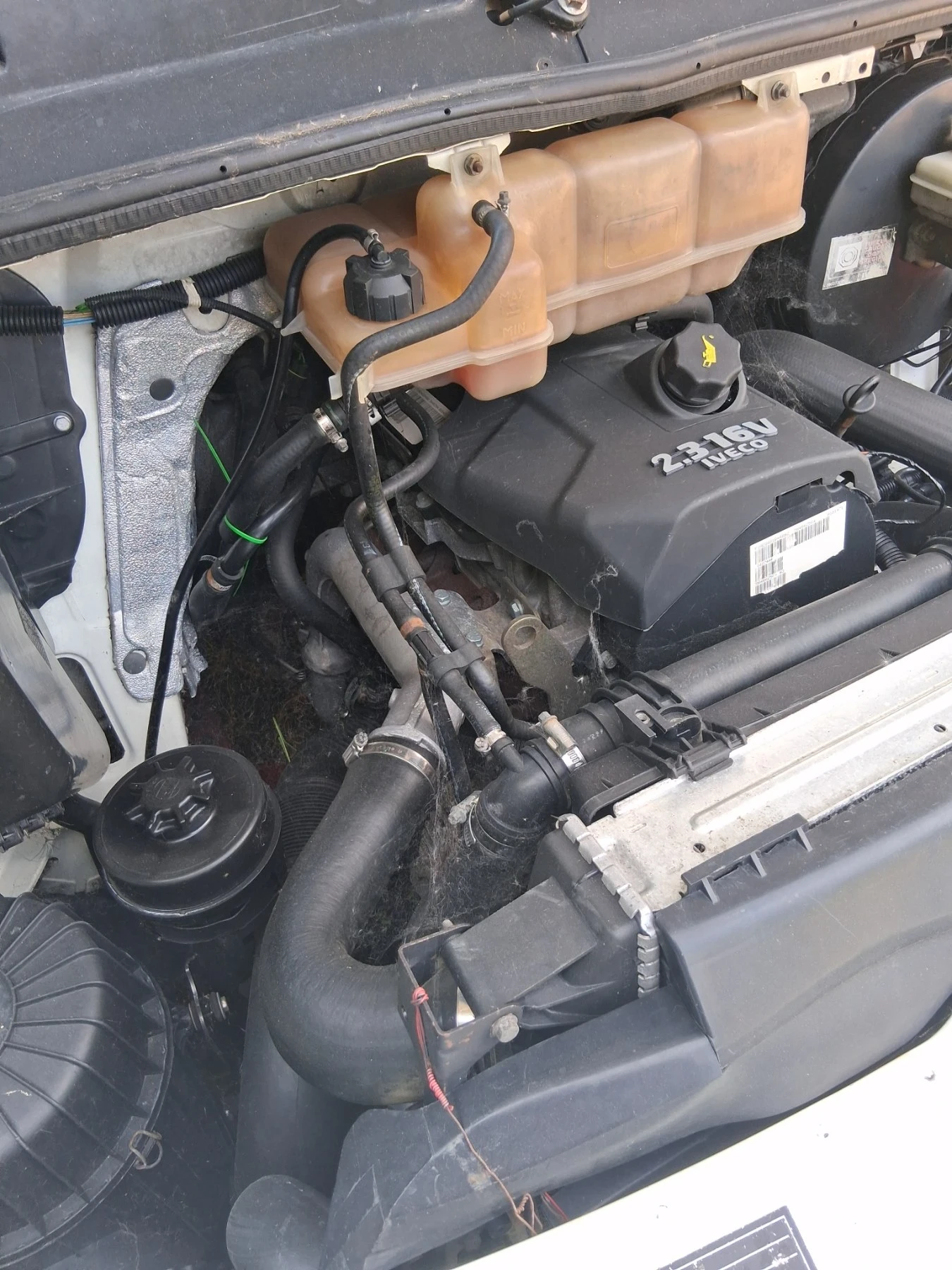 Iveco 3512 В категория , снимка 11 - Бусове и автобуси - 55098147