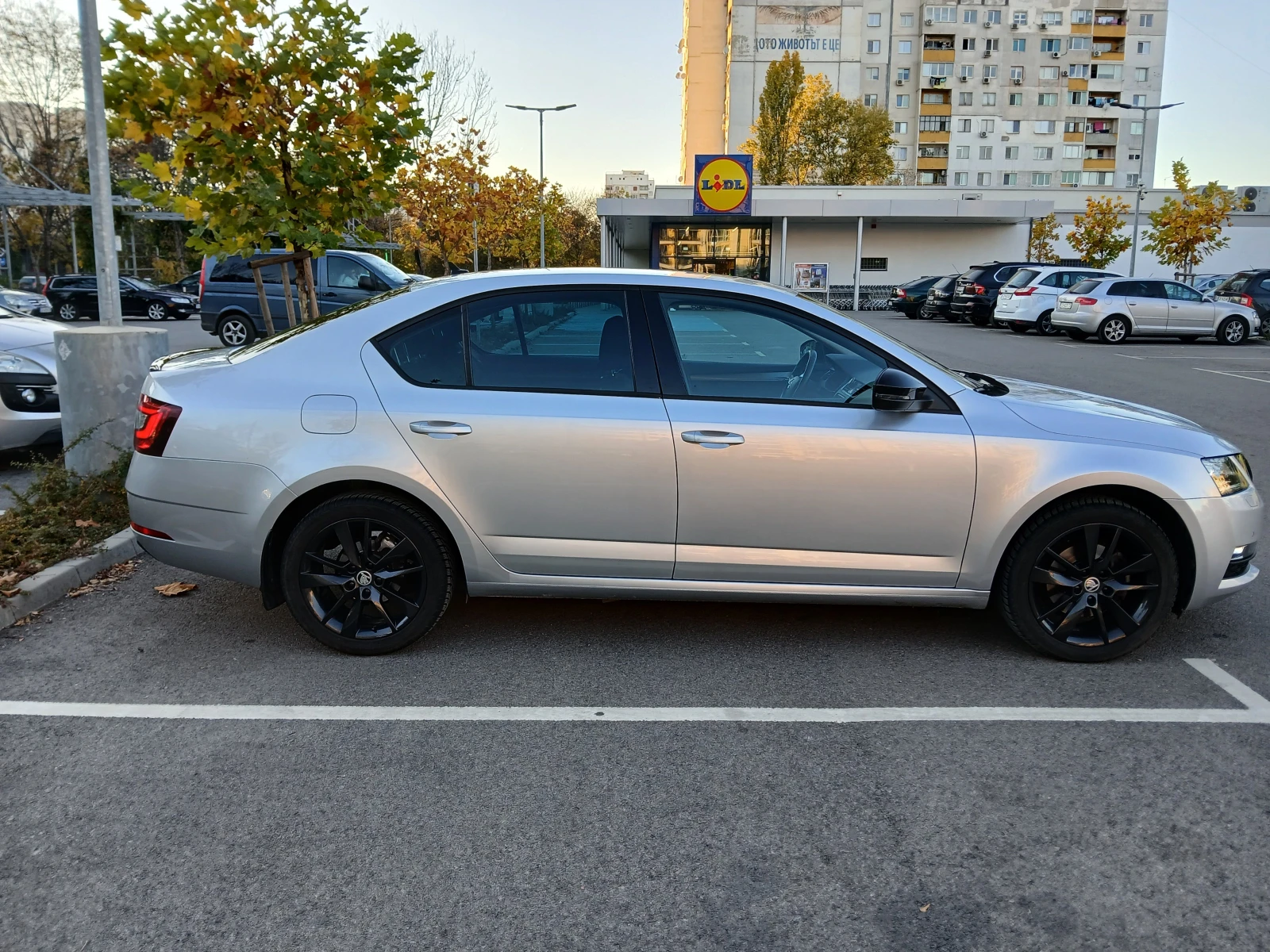 Skoda Octavia  - изображение 7