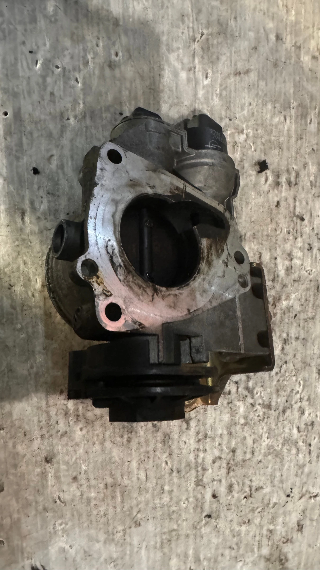 ��������� ����� �� Fiat Sedici 2009 - 2L245151 / 03123A | Mobile.bg � ����������� 2