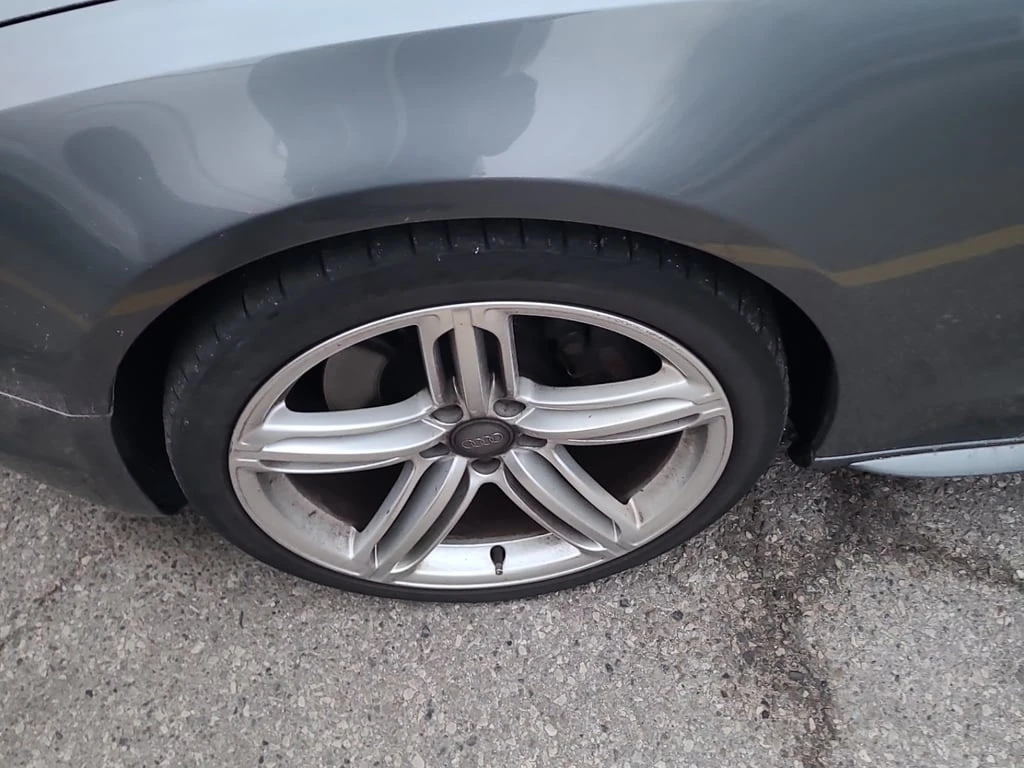 Audi S5 * PREMIUM * CARFAX * ЦЕНА ДО БЪЛГАРИЯ - изображение 6