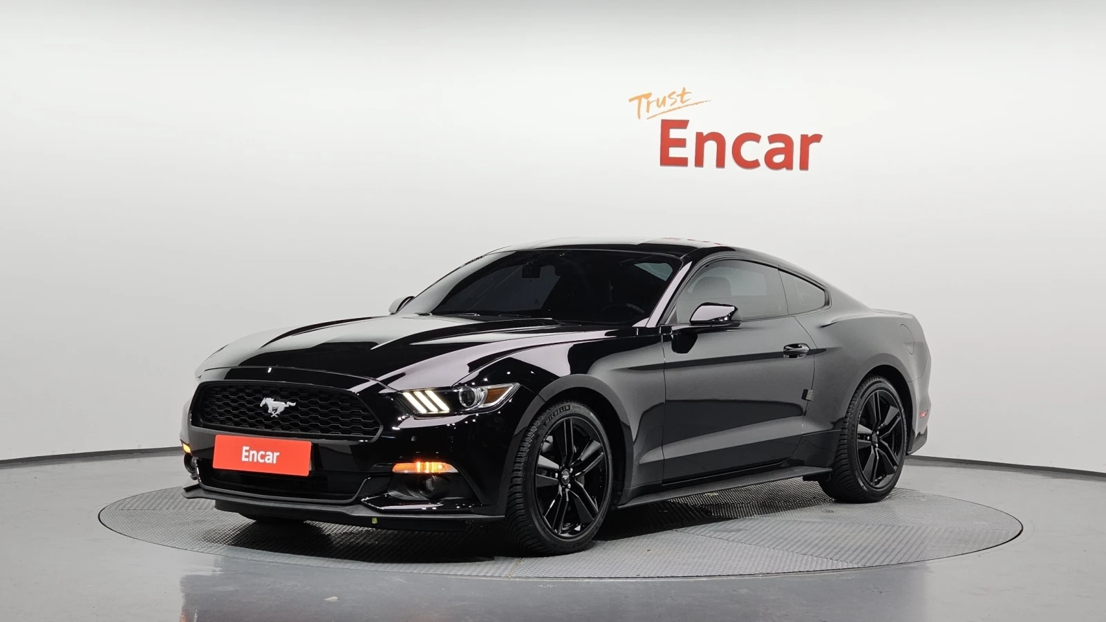 Ford Mustang BLIND SPOT КРАЙНА ЦЕНА* encareu.com