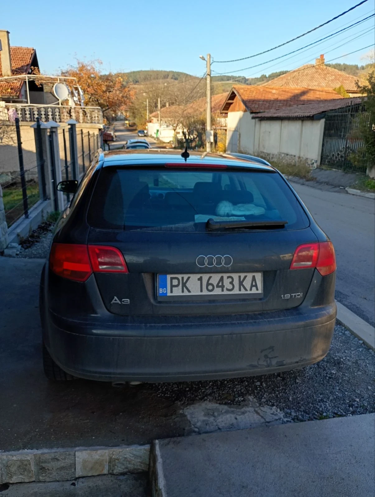 Audi A3 1.9 tdi 105 hp 2007, снимка 2 - Автомобили и джипове - 56059863