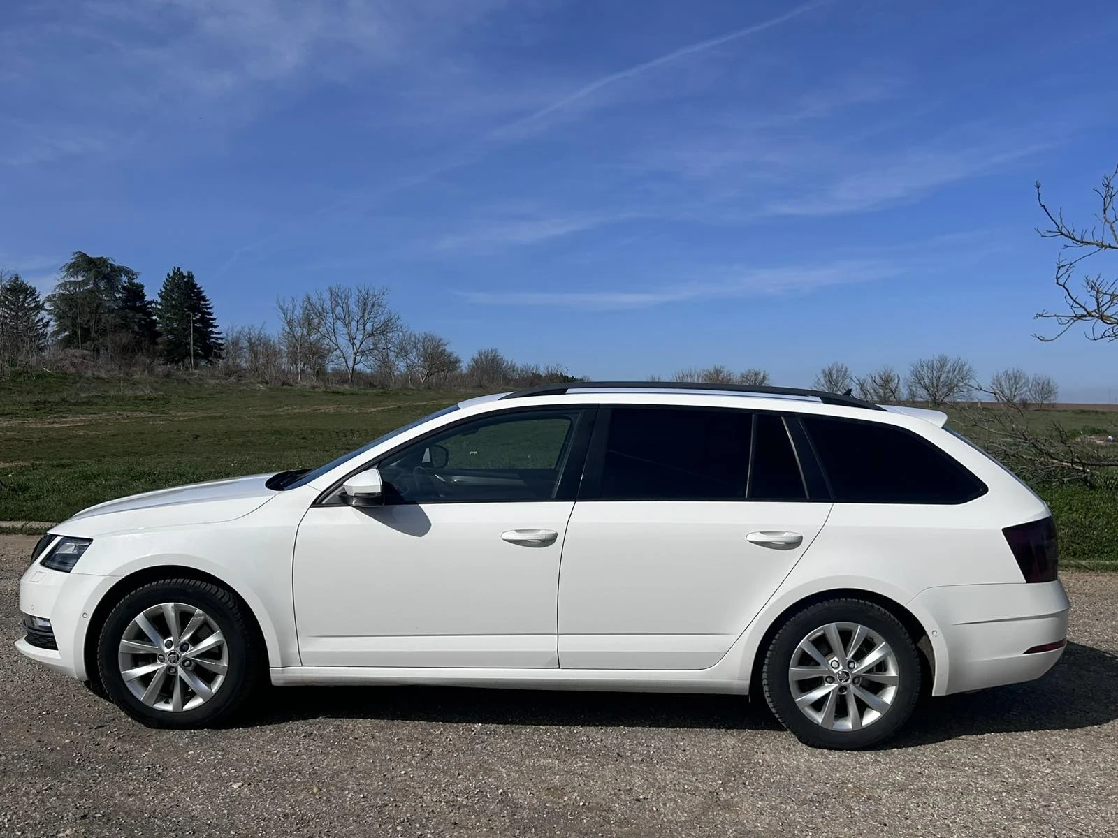 Skoda Octavia, снимка 4 - Автомобили и джипове - 56136234