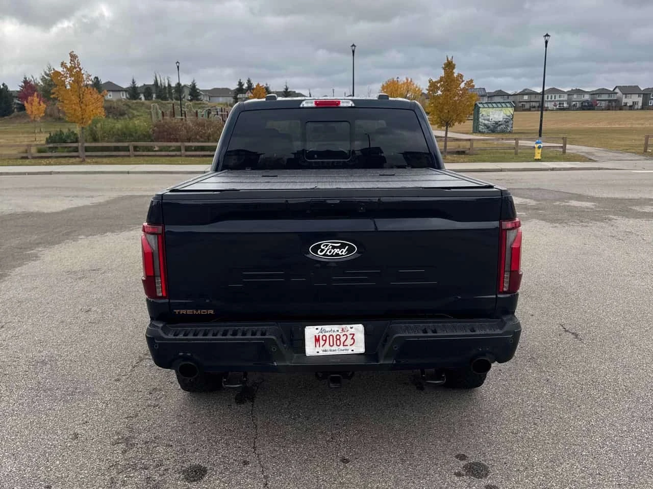 Ford F150 * Tremor * CARFAX * ����� �� ����������� | Mobile.bg � ����������� 4