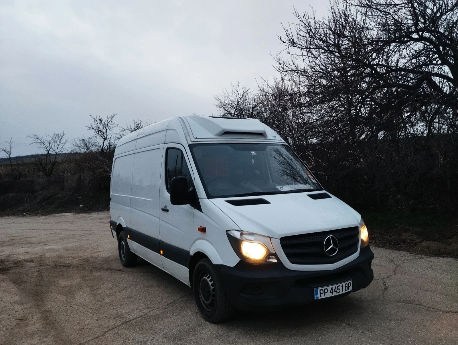 Mercedes-Benz 313 | Mobile.bg � ����������� 1
