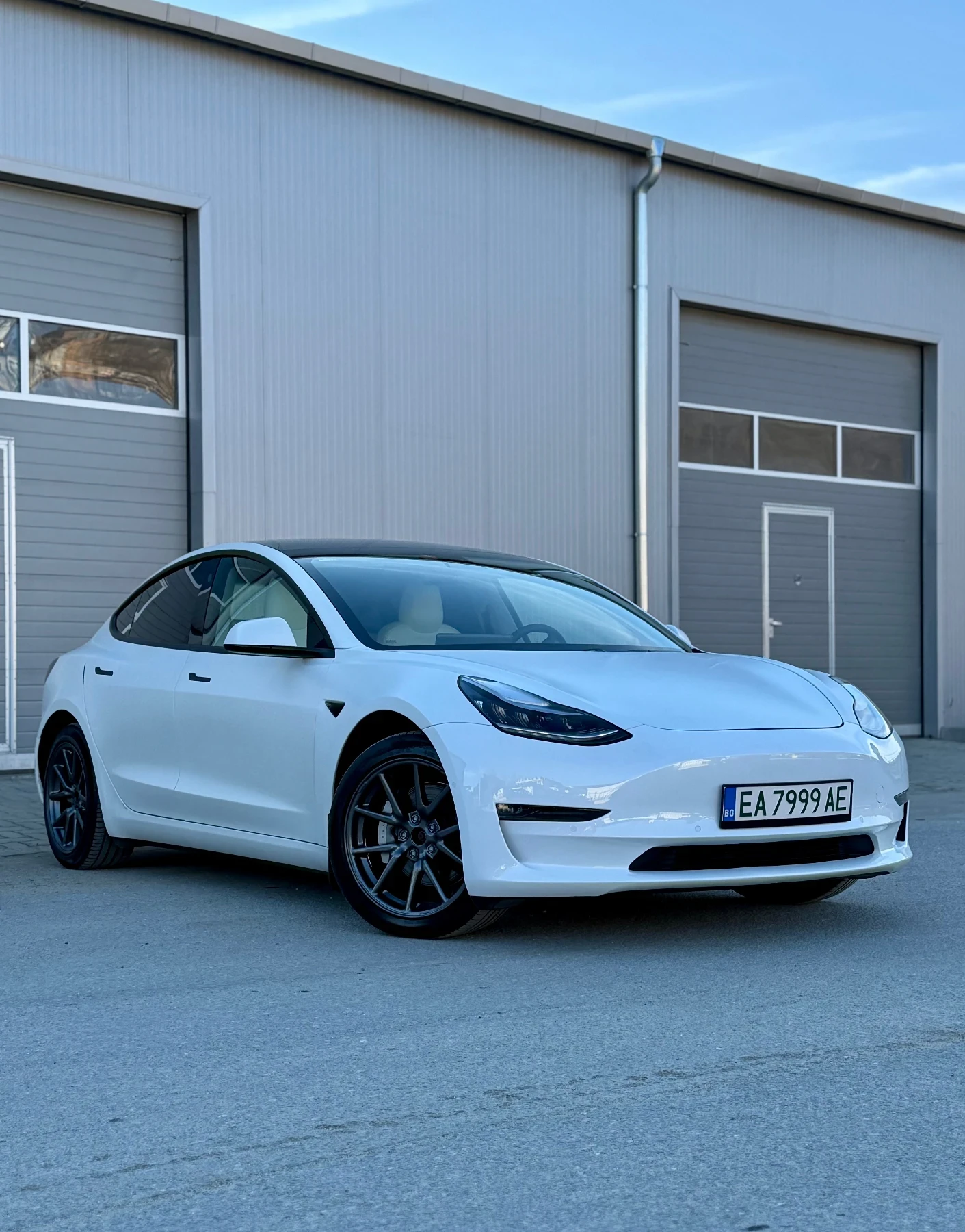 Tesla Model 3 Гаранция/Швейцария/LRDM/4x4/PPF