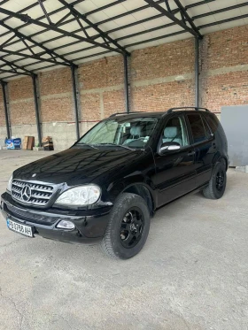 Mercedes-Benz ML 270, снимка 1