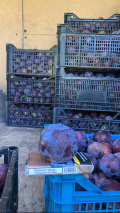 Друг вид Внос Овощна градина сливи трактор пръскачка фреза бус, снимка 3