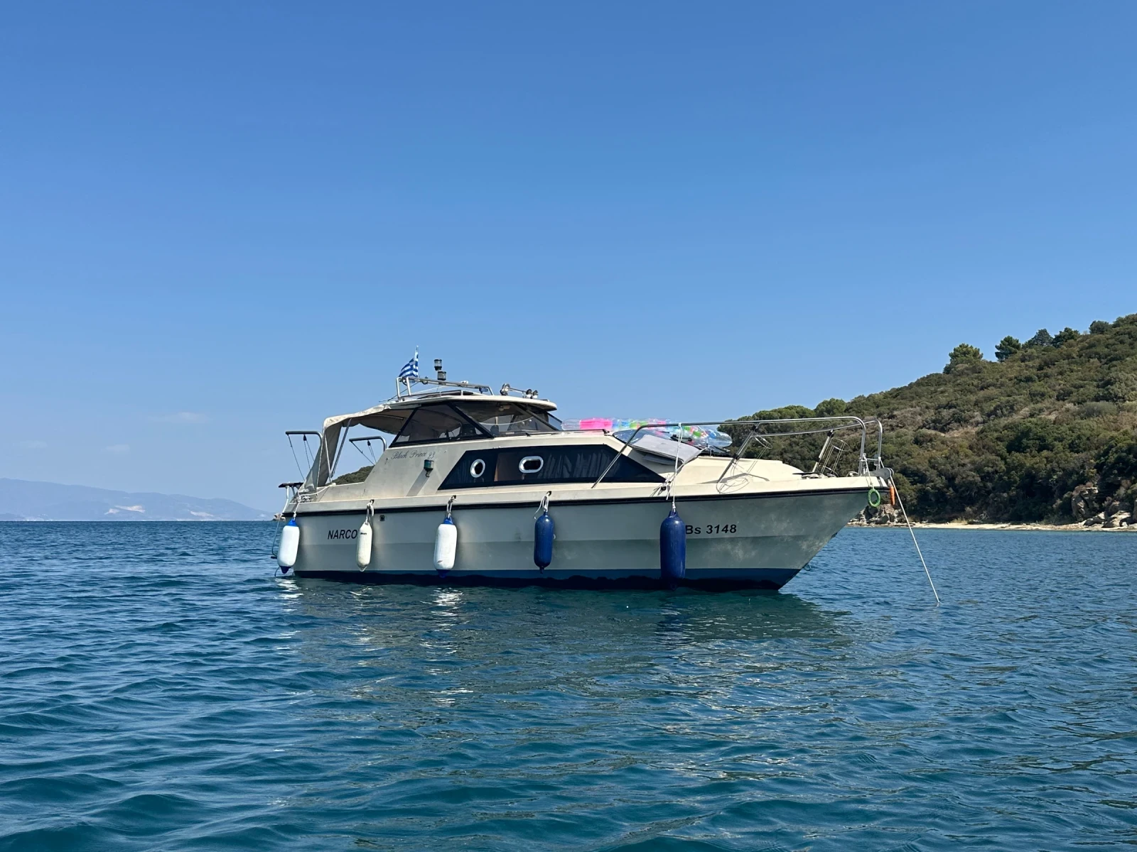   Shetland Black Prince | Mobile.bg   1