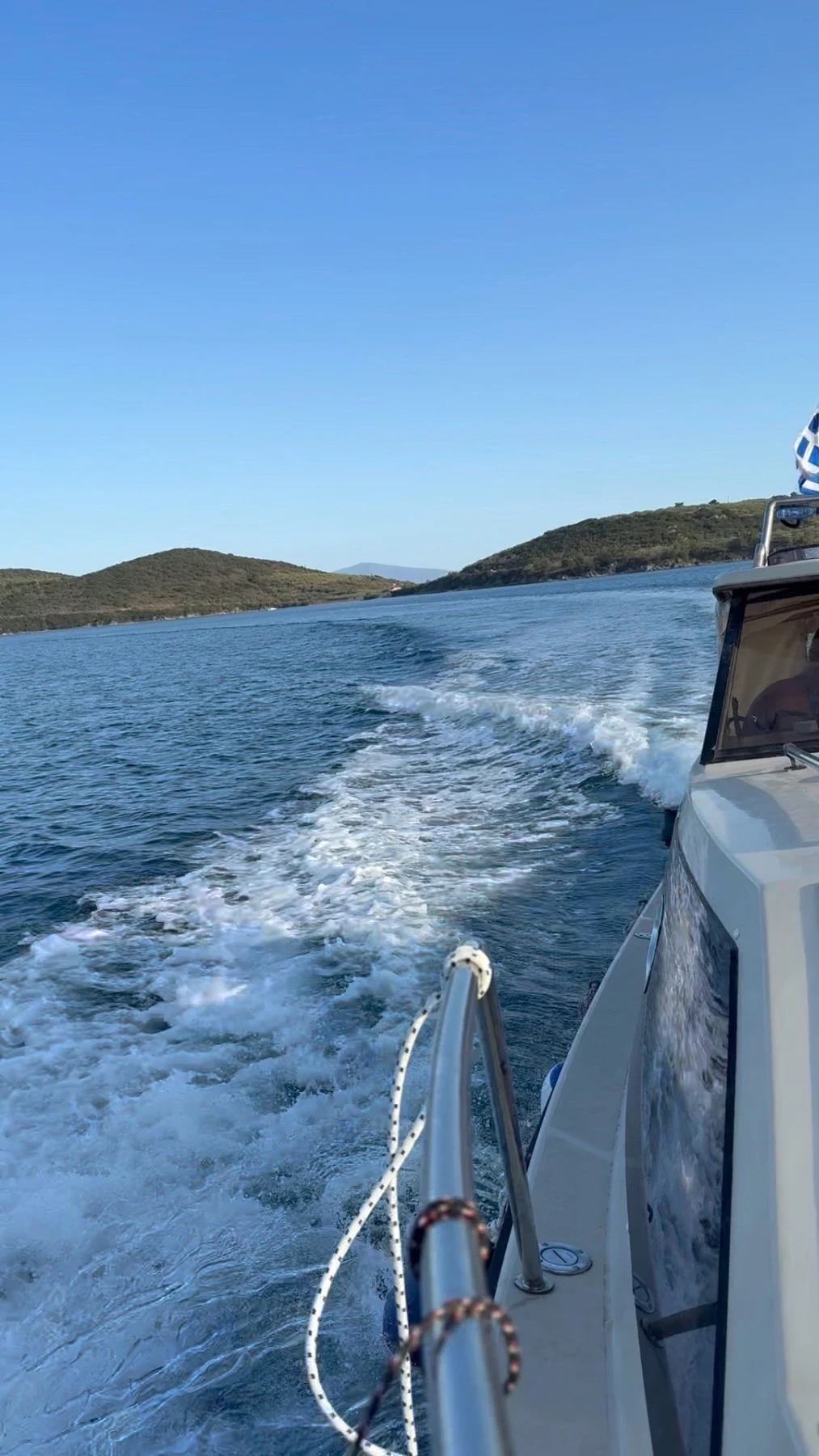   Shetland Black Prince | Mobile.bg   2