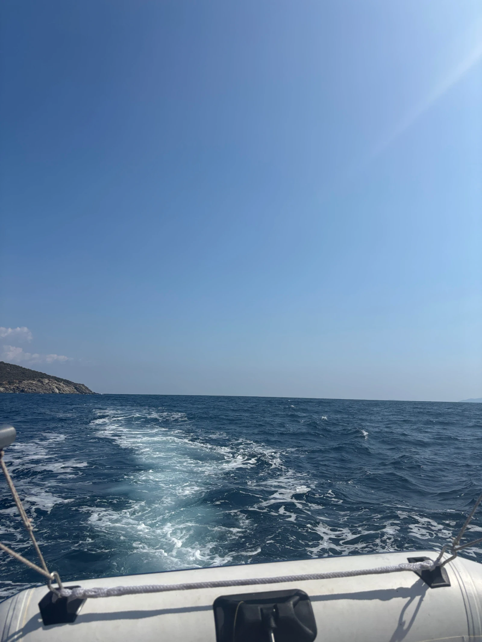   Shetland Black Prince | Mobile.bg   8