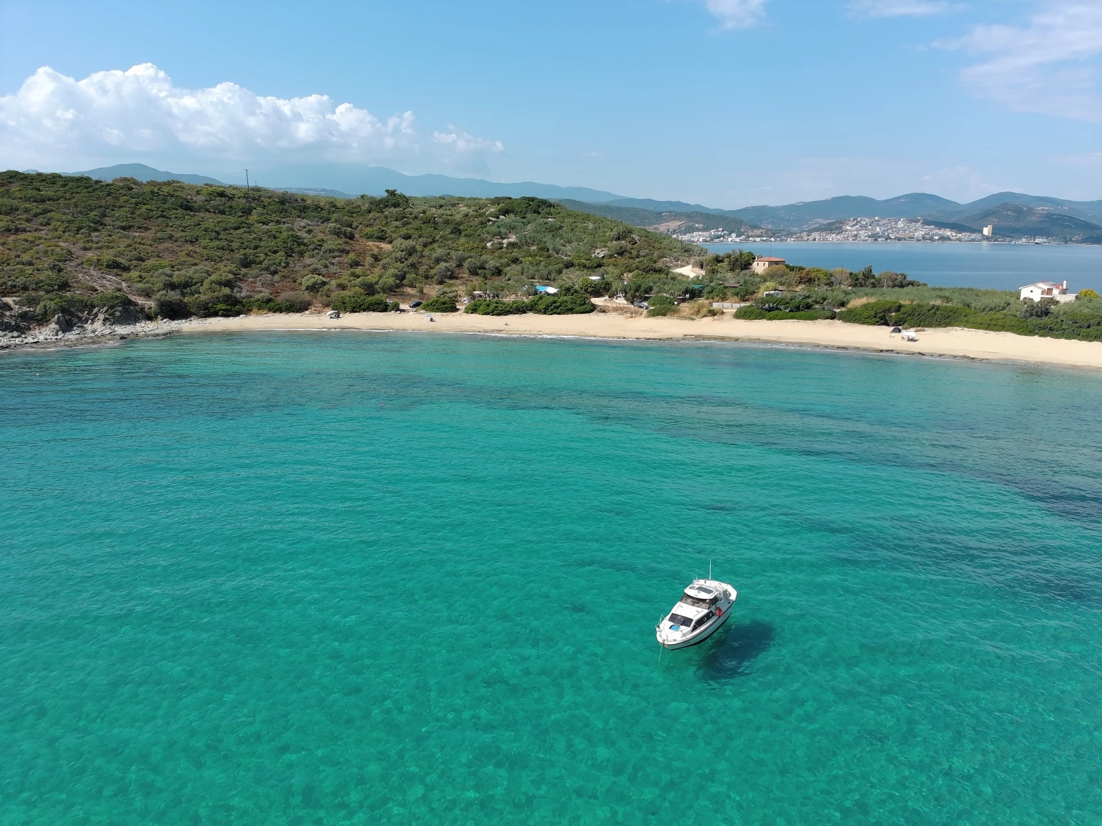   Shetland Black Prince | Mobile.bg   3