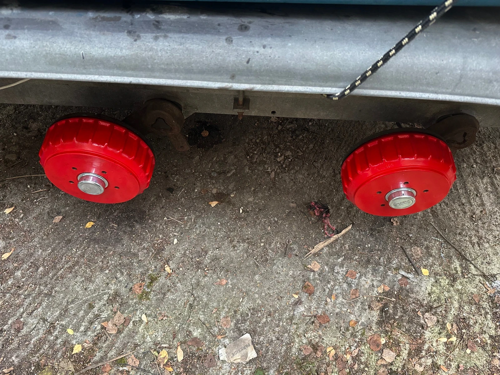   Shetland Black Prince | Mobile.bg   12