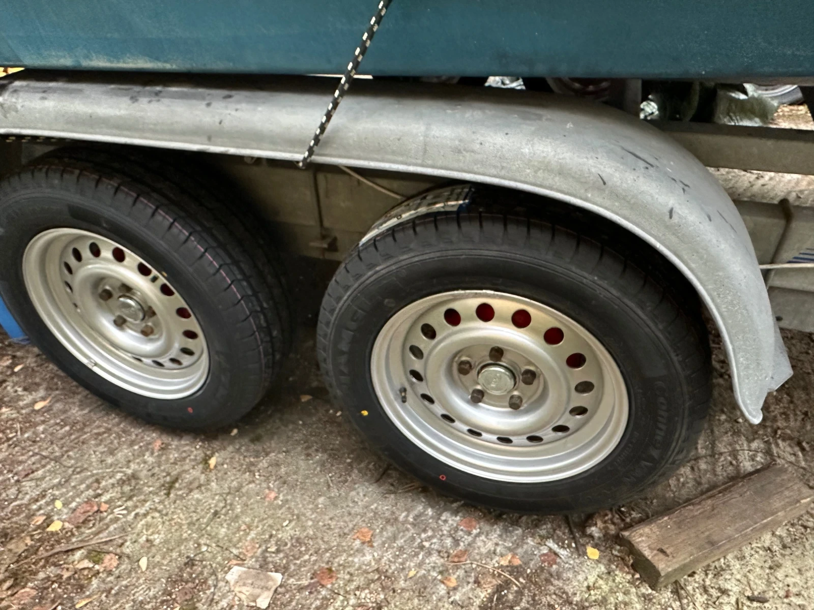   Shetland Black Prince | Mobile.bg   13