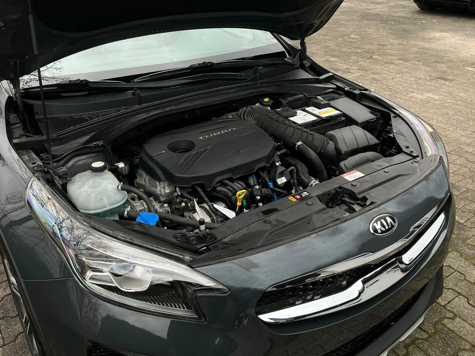 Kia XCeed 1.6 ����� GT-LINE 28000�� AVTOMAT Germany ������  | Mobile.bg � ����������� 8