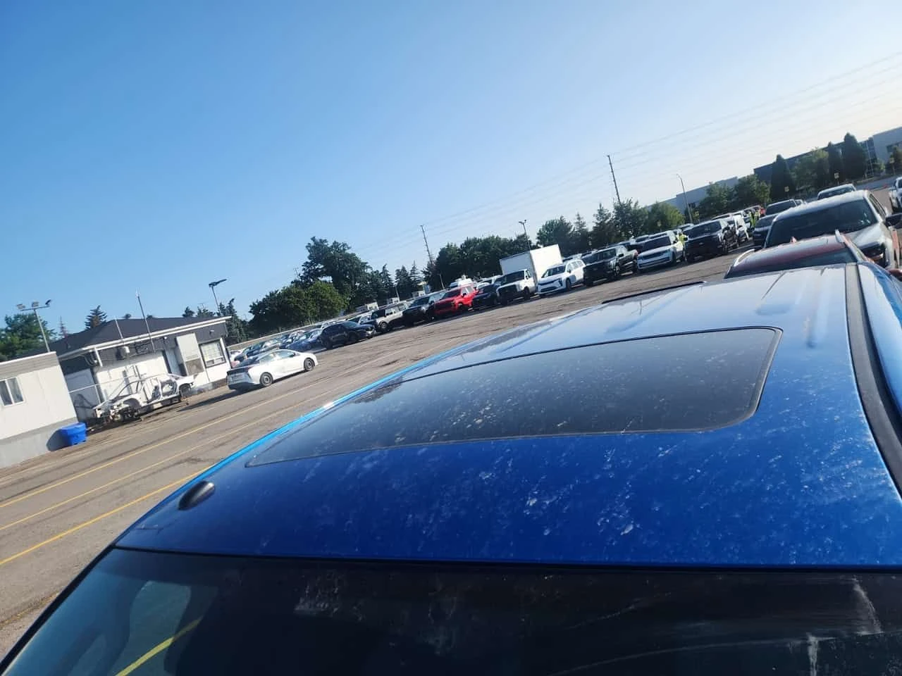 Toyota Tundra * PLATINUM CREW CAB SHORT BED * CARFAX * , снимка 7 - Автомобили и джипове - 55444280