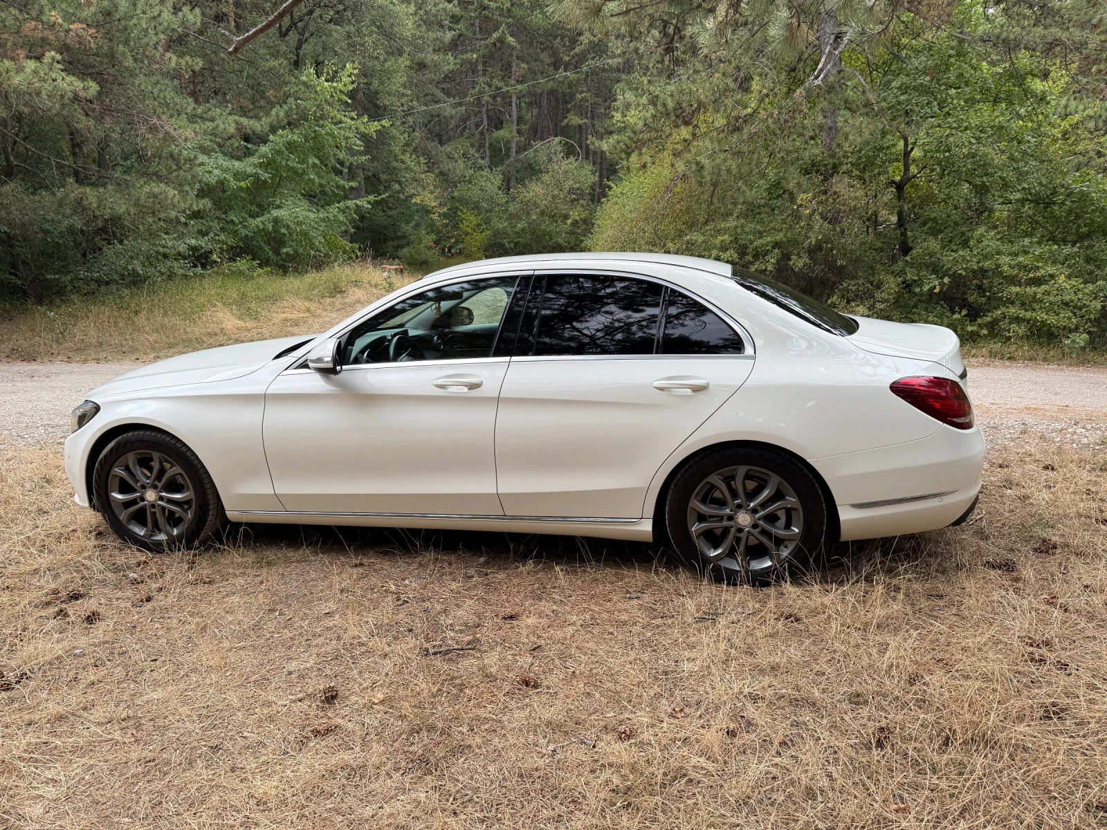 Mercedes-Benz C 220 2.2 BluTech - изображение 7