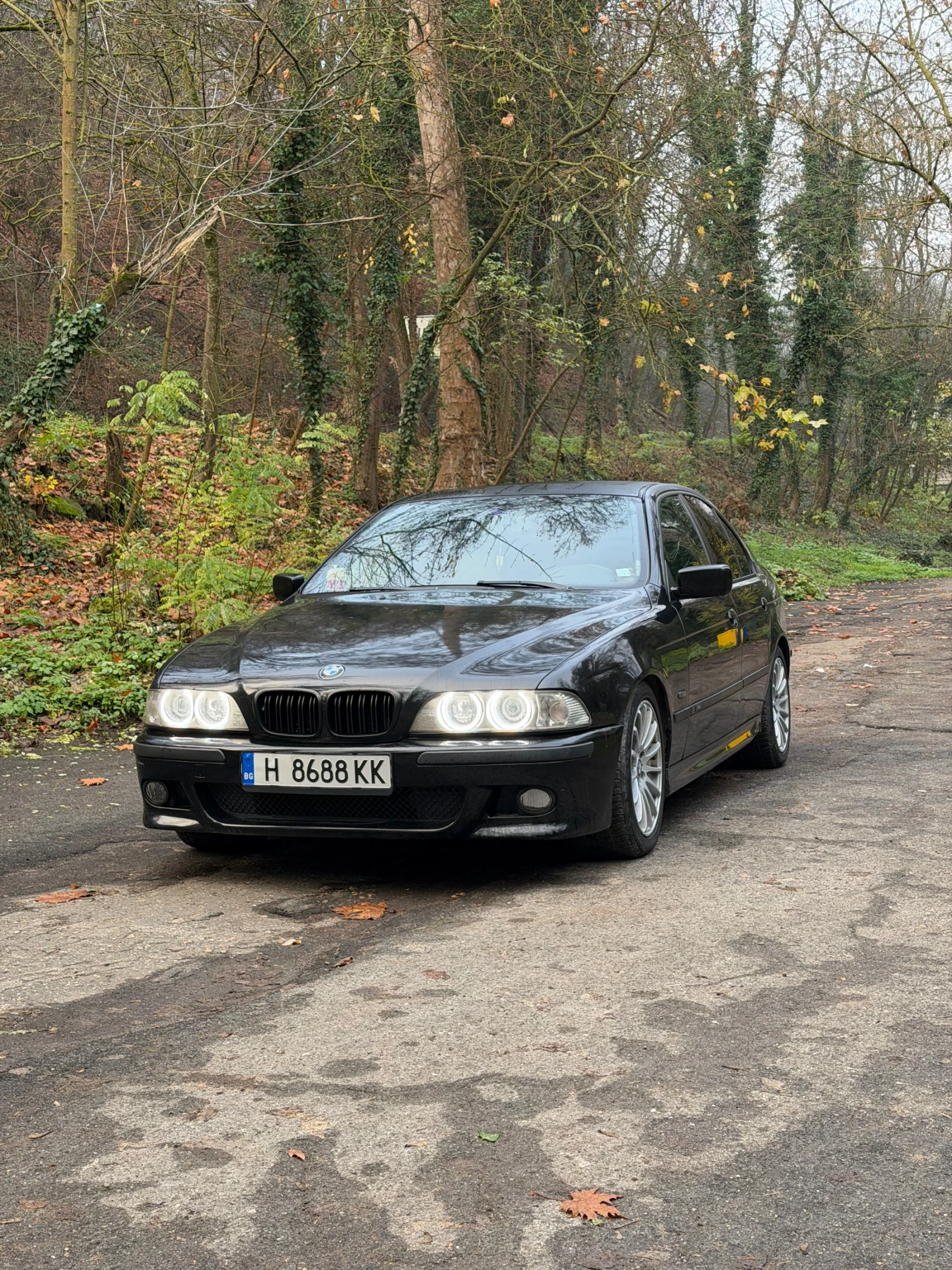 BMW 530 | Mobile.bg � ����������� 1