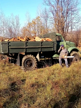 Gaz 63, снимка 2