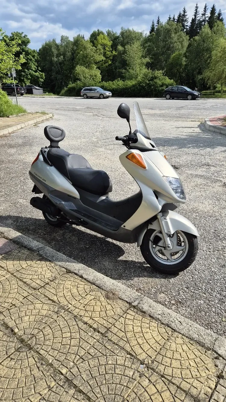 Honda Foresight 250 - изображение 2