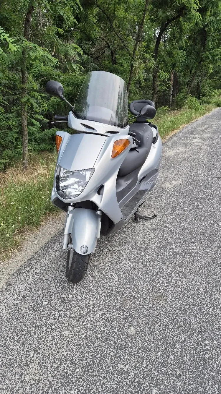 Honda Foresight 250 - изображение 5