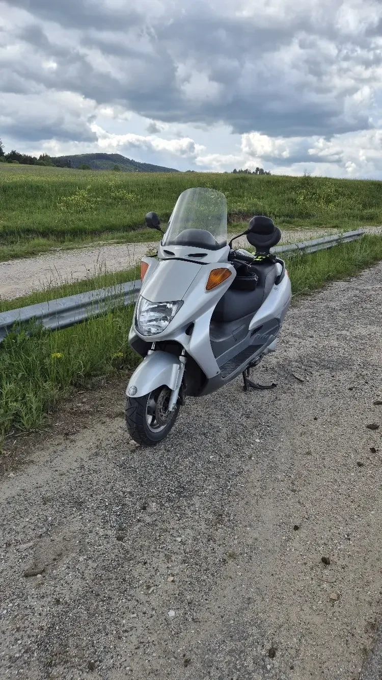 Honda Foresight 250 - изображение 4